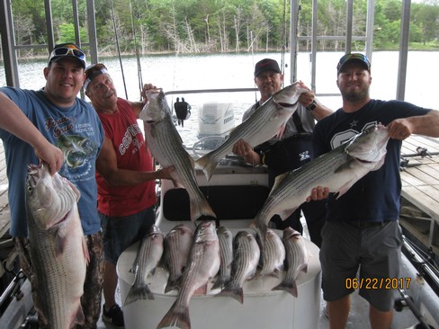 Nice Striped Bass